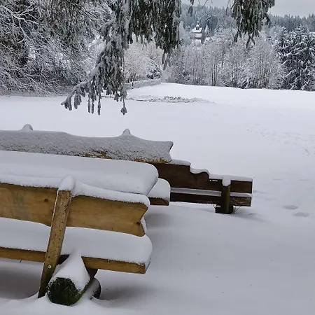 Hahnenklee Дом отдыха Гослар