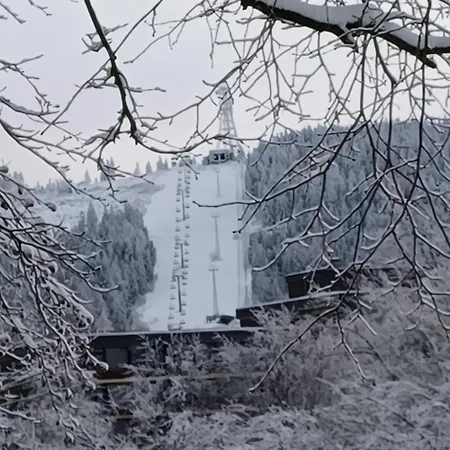 Hahnenklee Дом отдыха