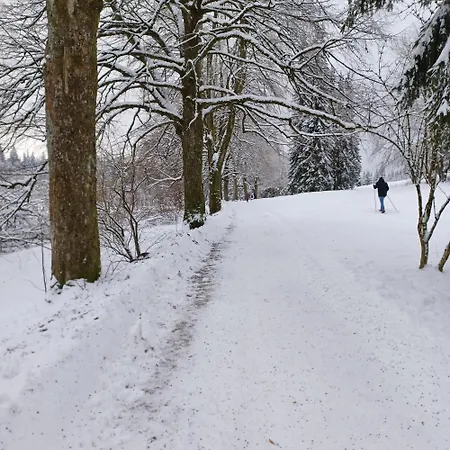 Hahnenklee