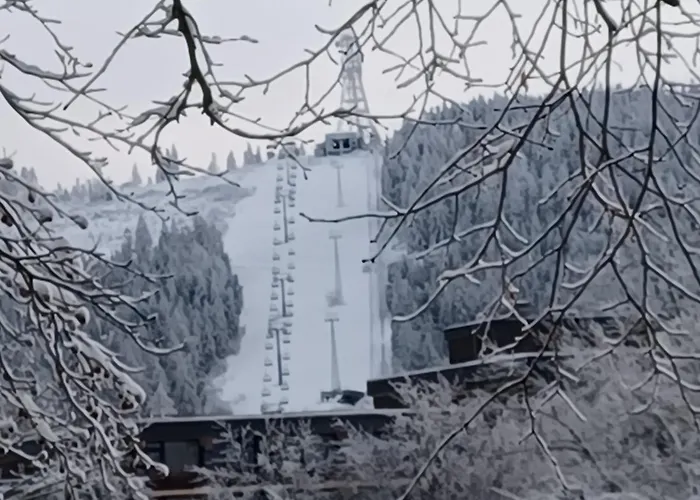 Holiday home Hahnenklee Goslar