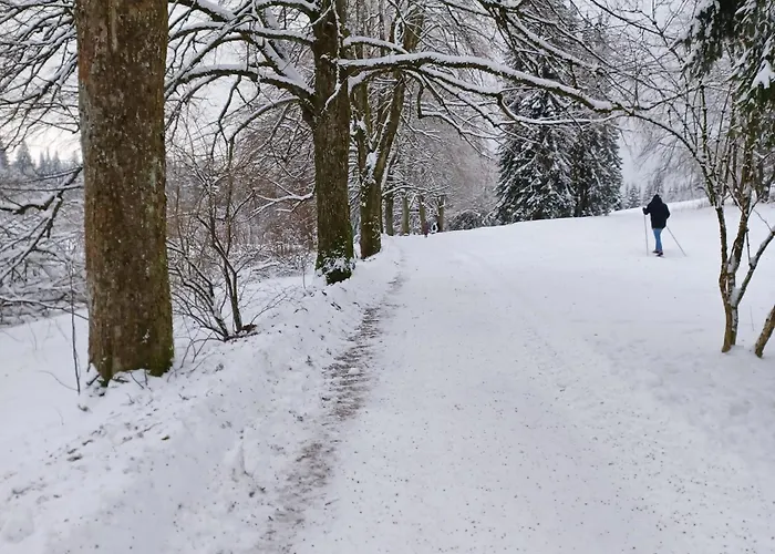 Holiday home Hahnenklee