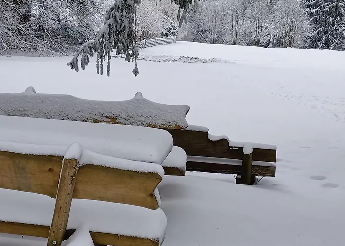 Hahnenklee Holiday home