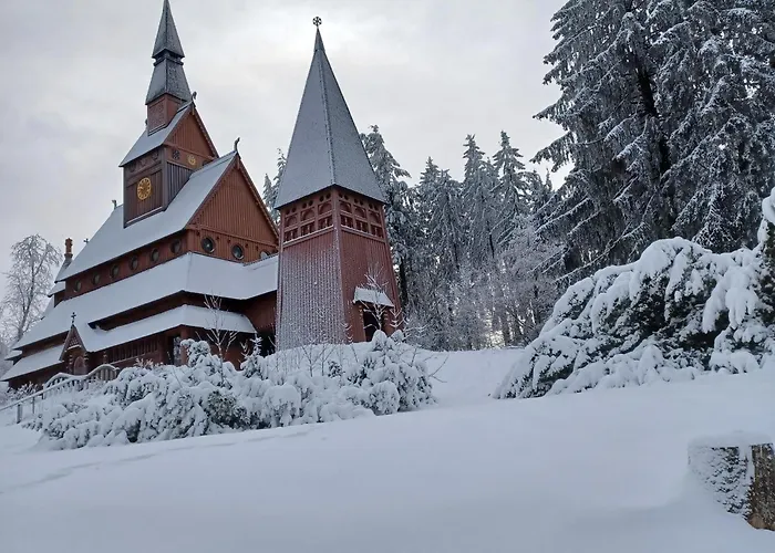 Hahnenklee Holiday home *